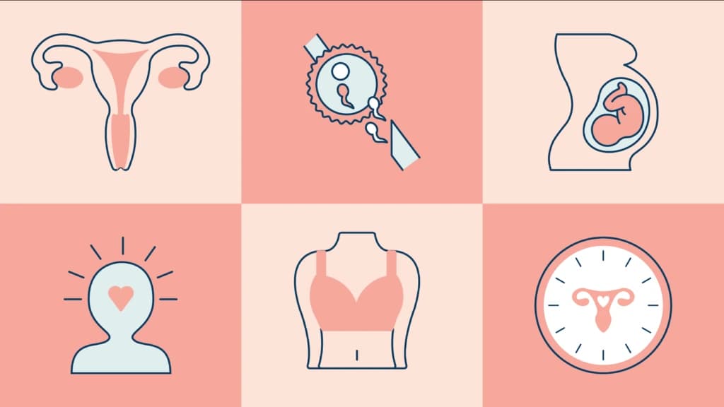 HealthCalcPro.com: Comprehensive Health Calculators & Fitness Tracking Tools